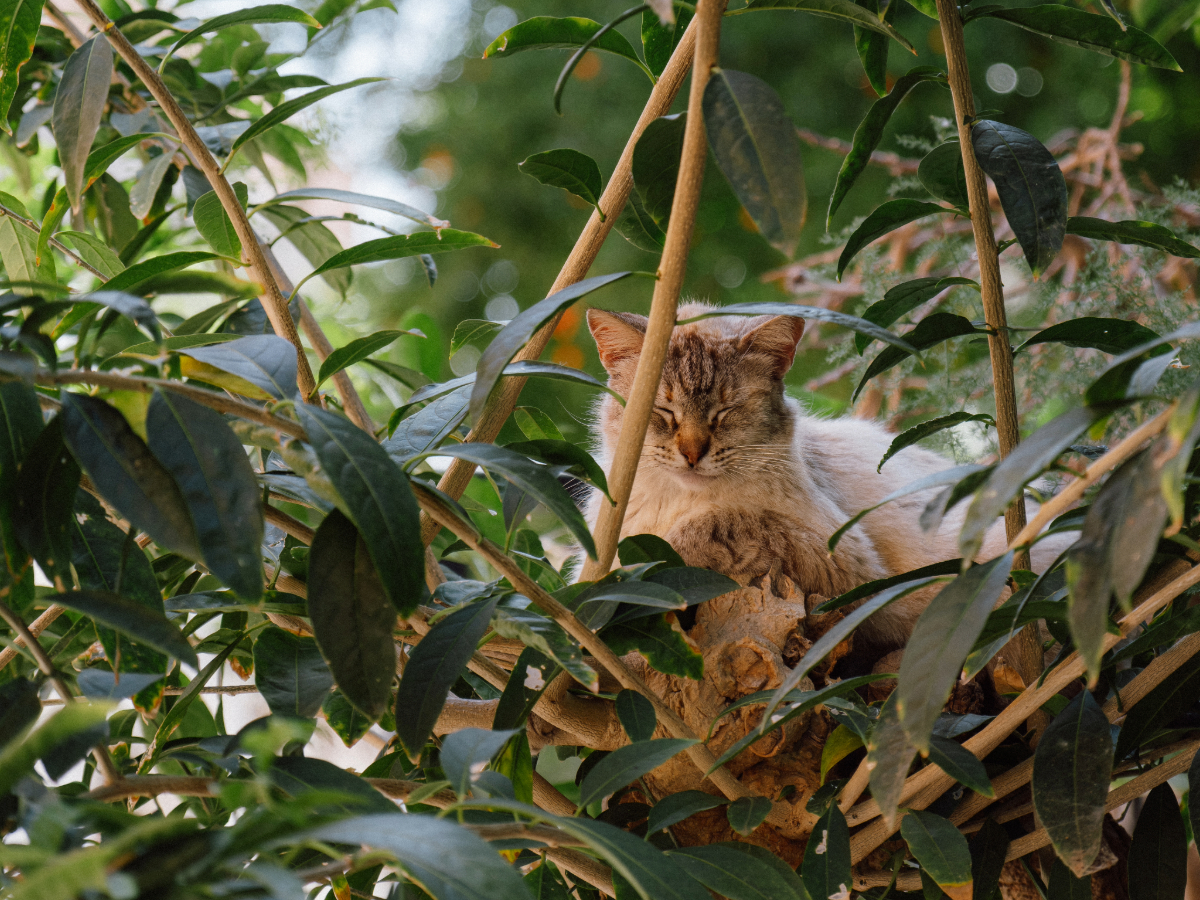 DSCF2239.jpg