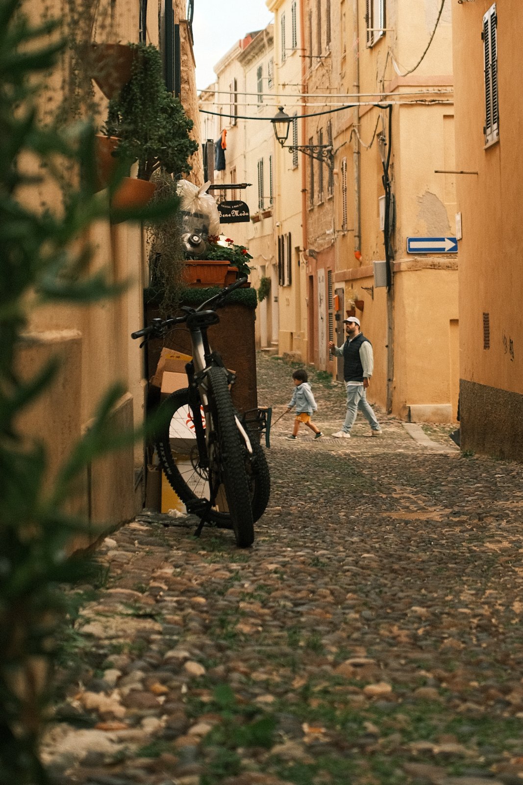 DSCF2431.jpg