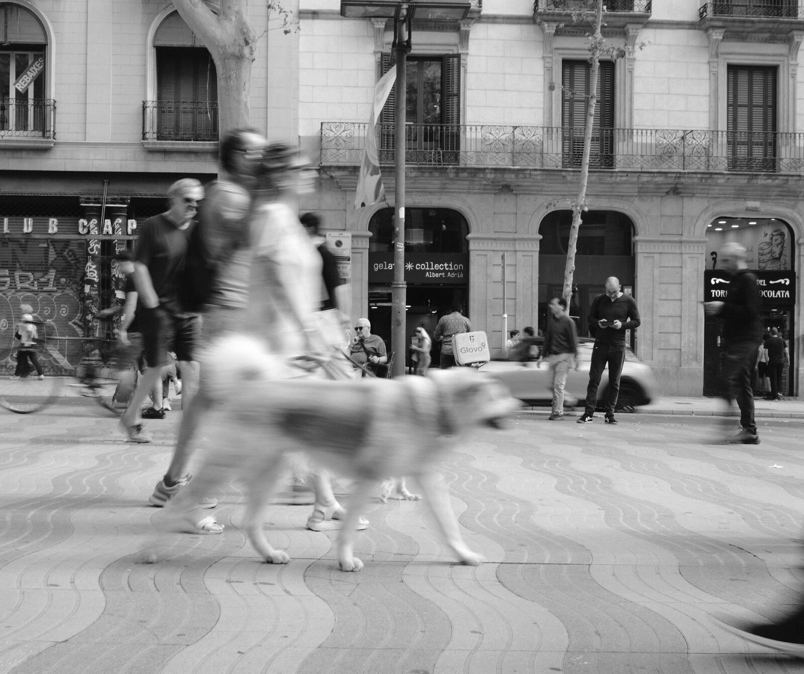 DSCF5784.JPG