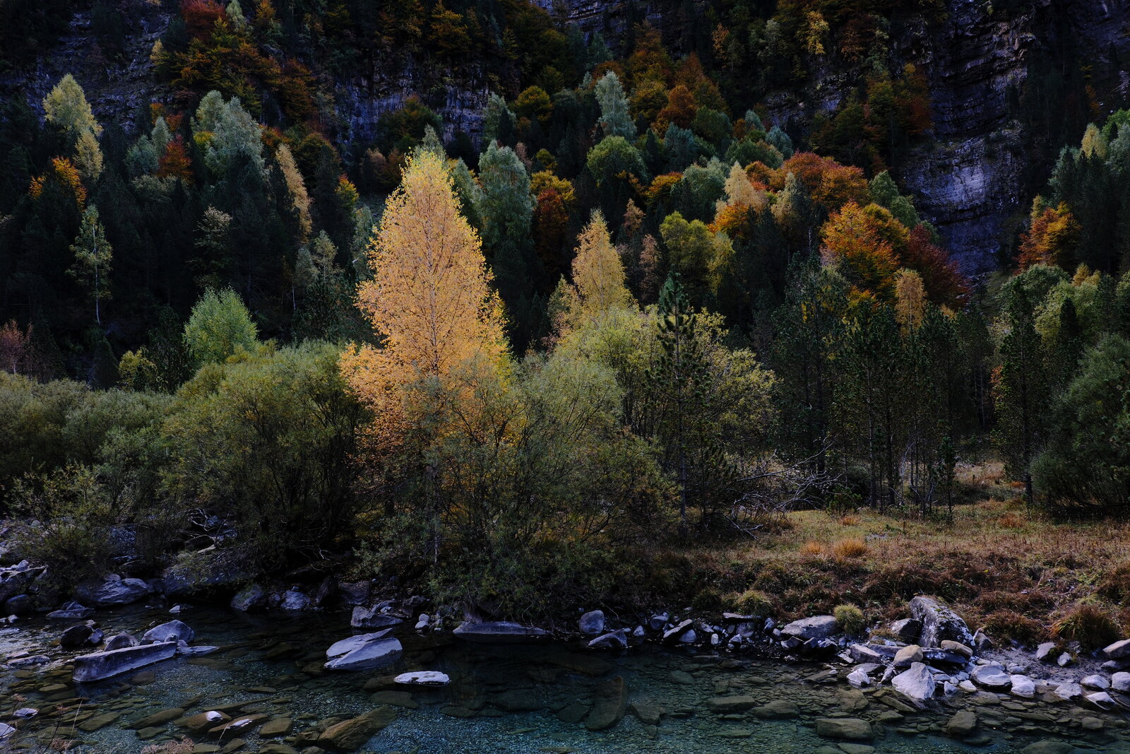 DSCF6030.JPG