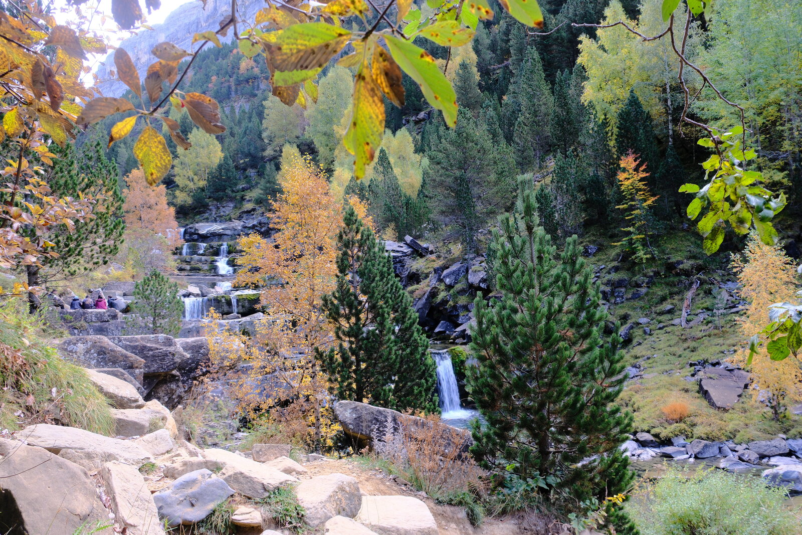 DSCF6034.JPG