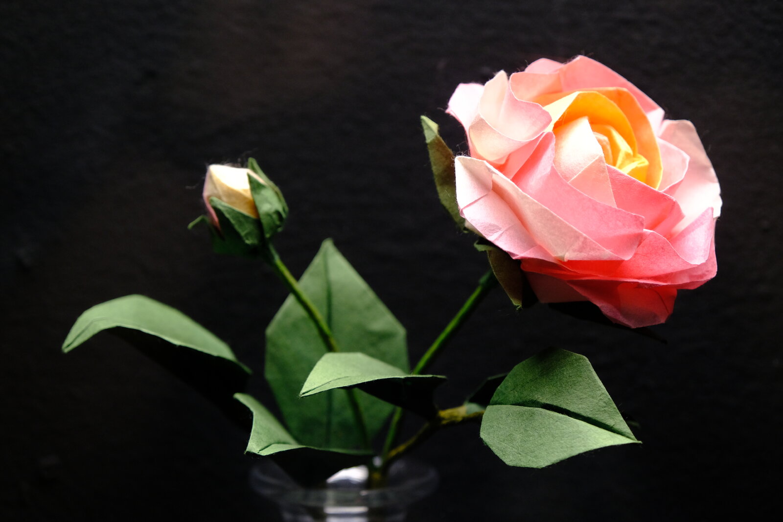 DSCF9632.JPG