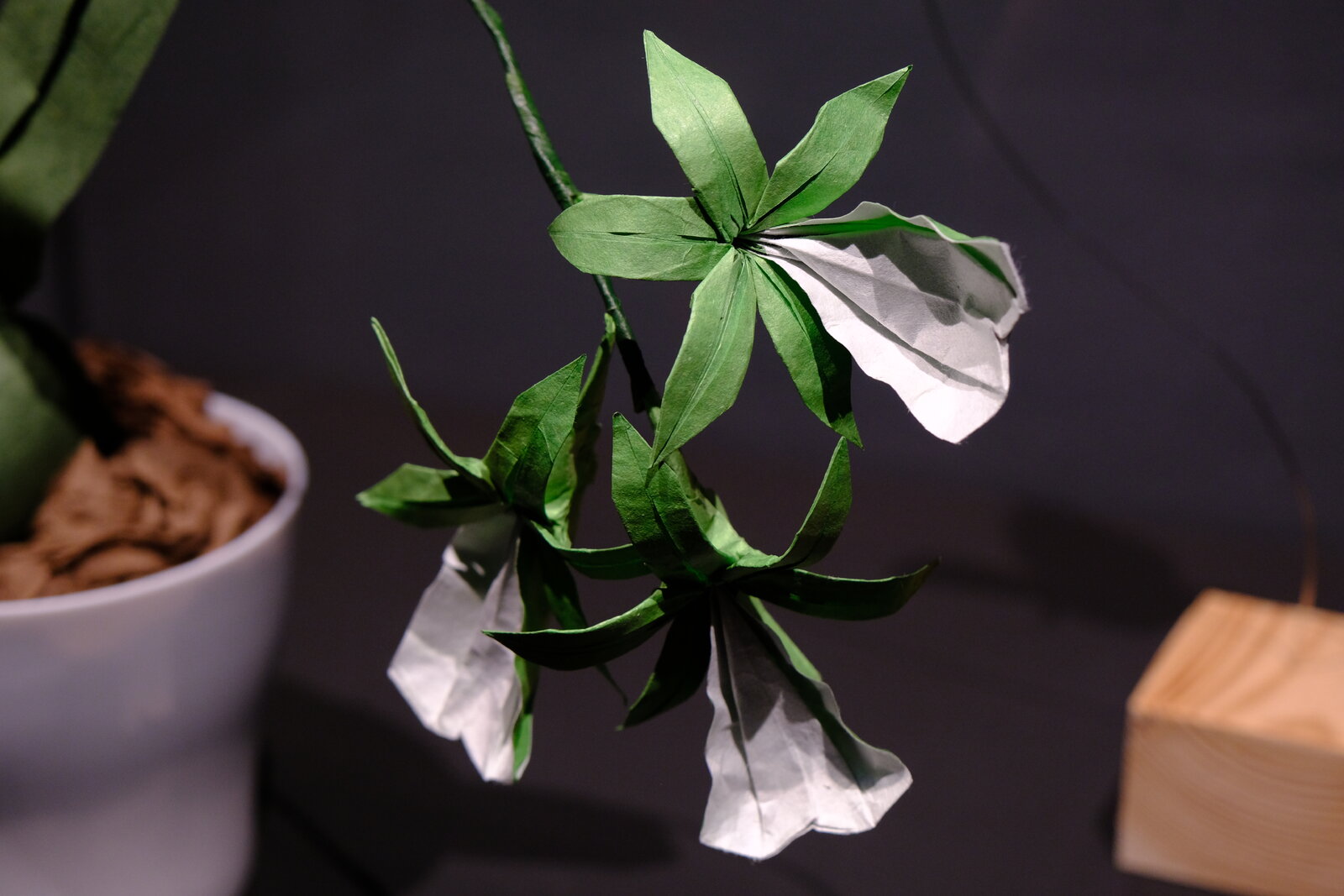 DSCF9638.JPG