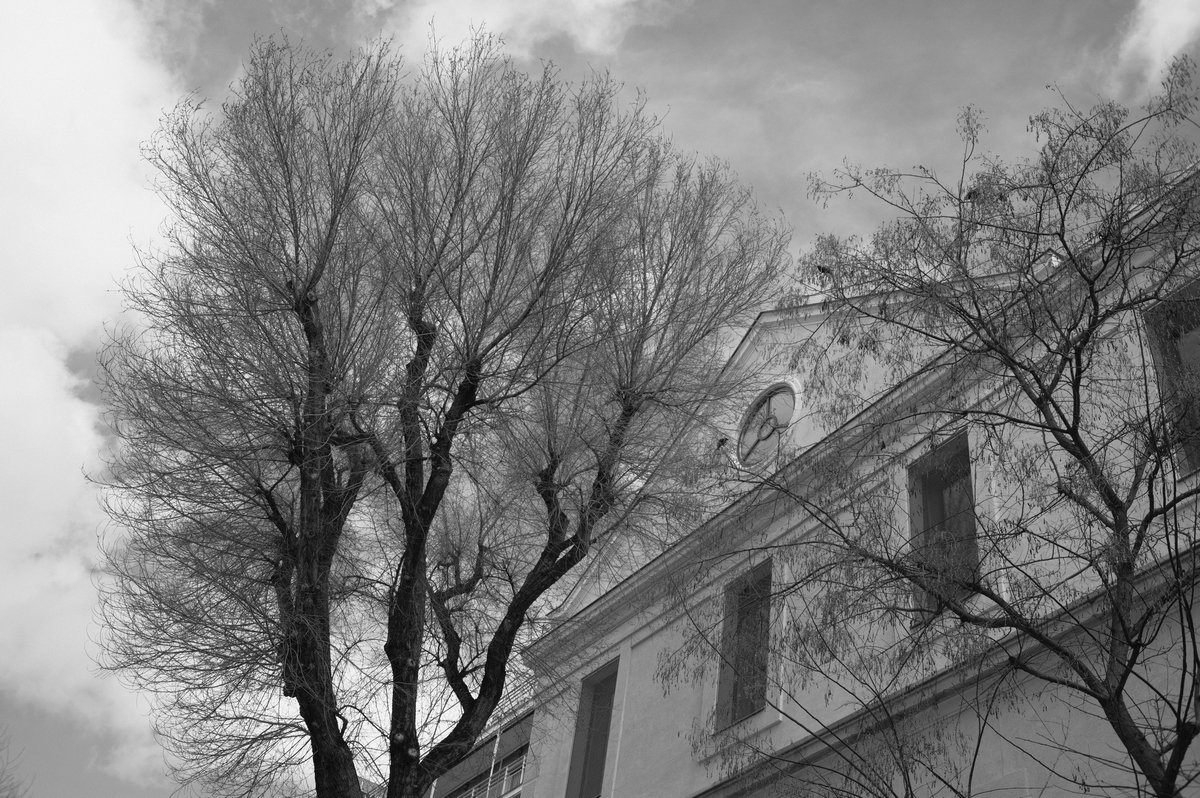 DSCF9651.JPG