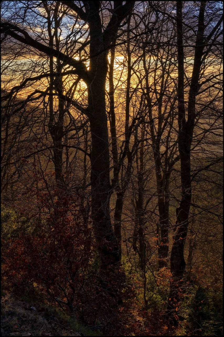 El darrer desig de la nit.jpg