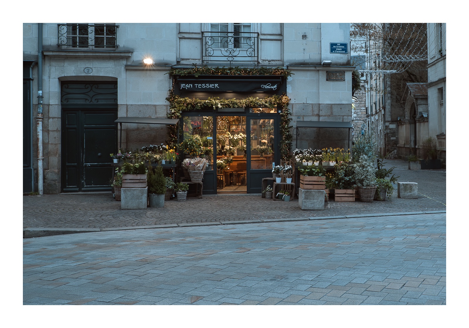 fotografo-nantes-francia-jean-tessier-fleuriste-plantas.jpg