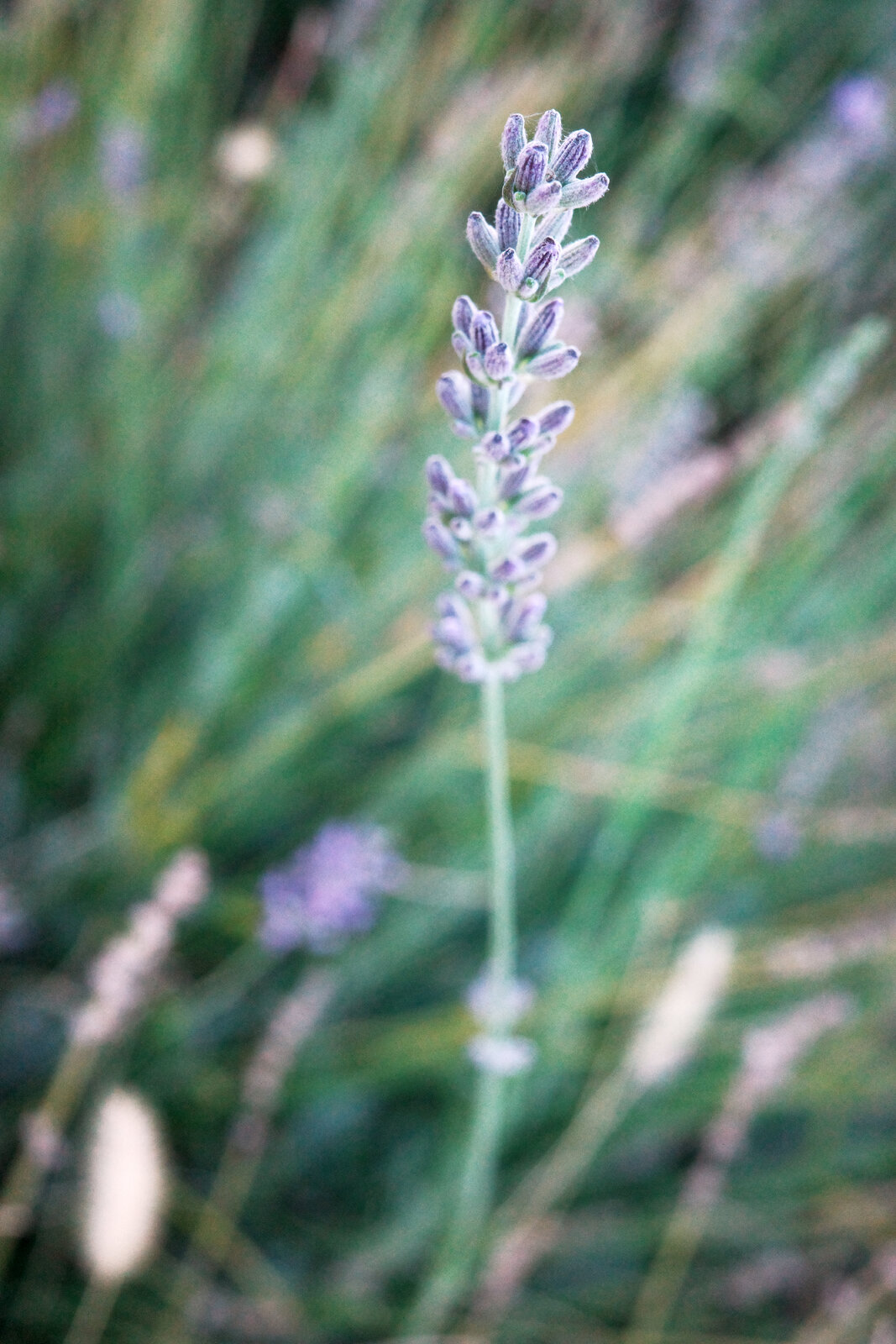 GX000144.jpg