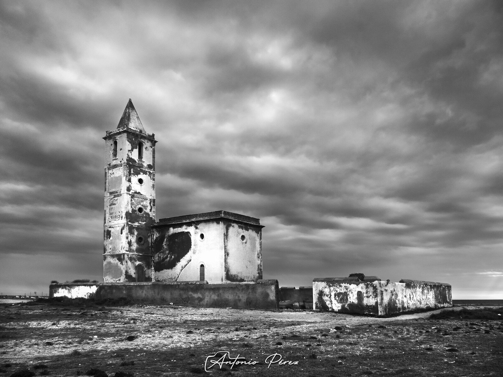 IMG_1868 bn.jpg