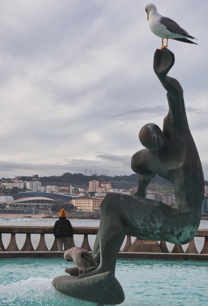 Mirando a Riazor_Alolo García.jpg