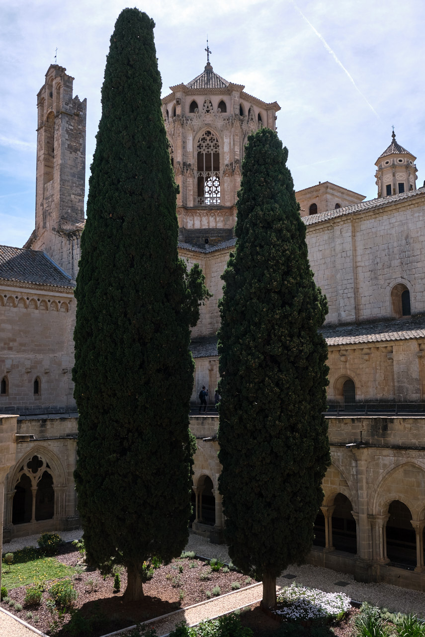 Monasterio de Poblet (16).jpg