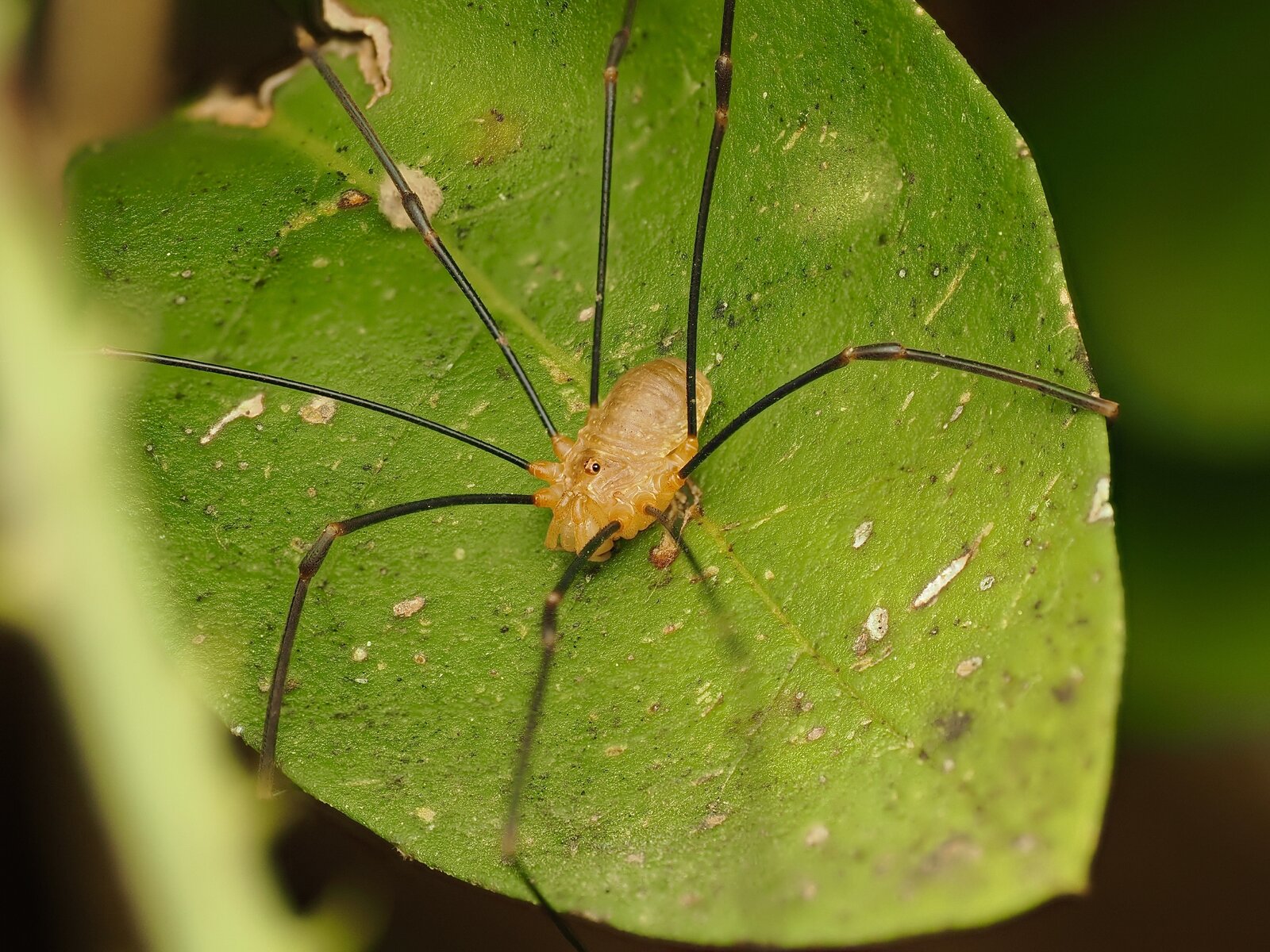 PA030950.jpg