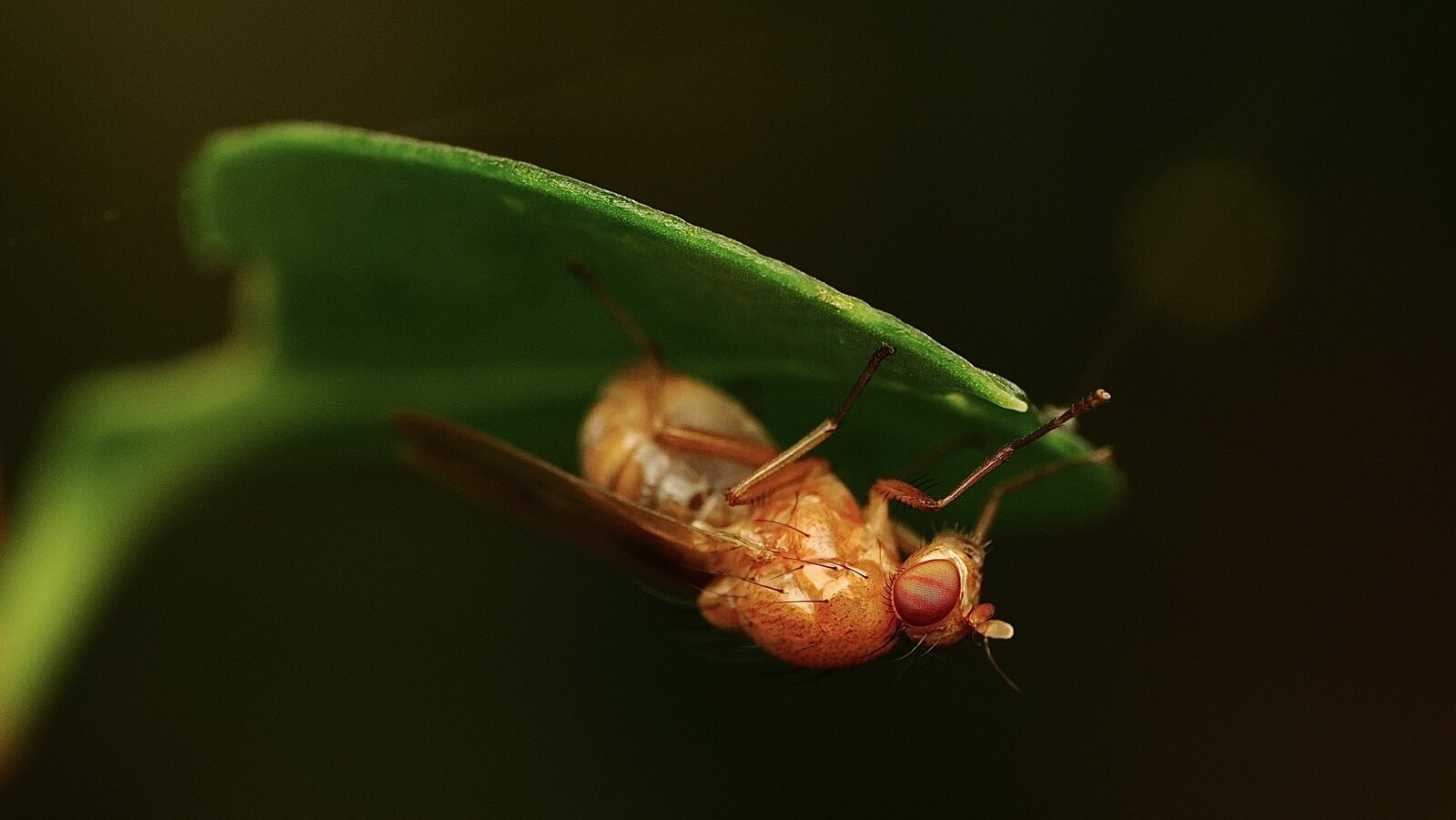 PA030964.jpg