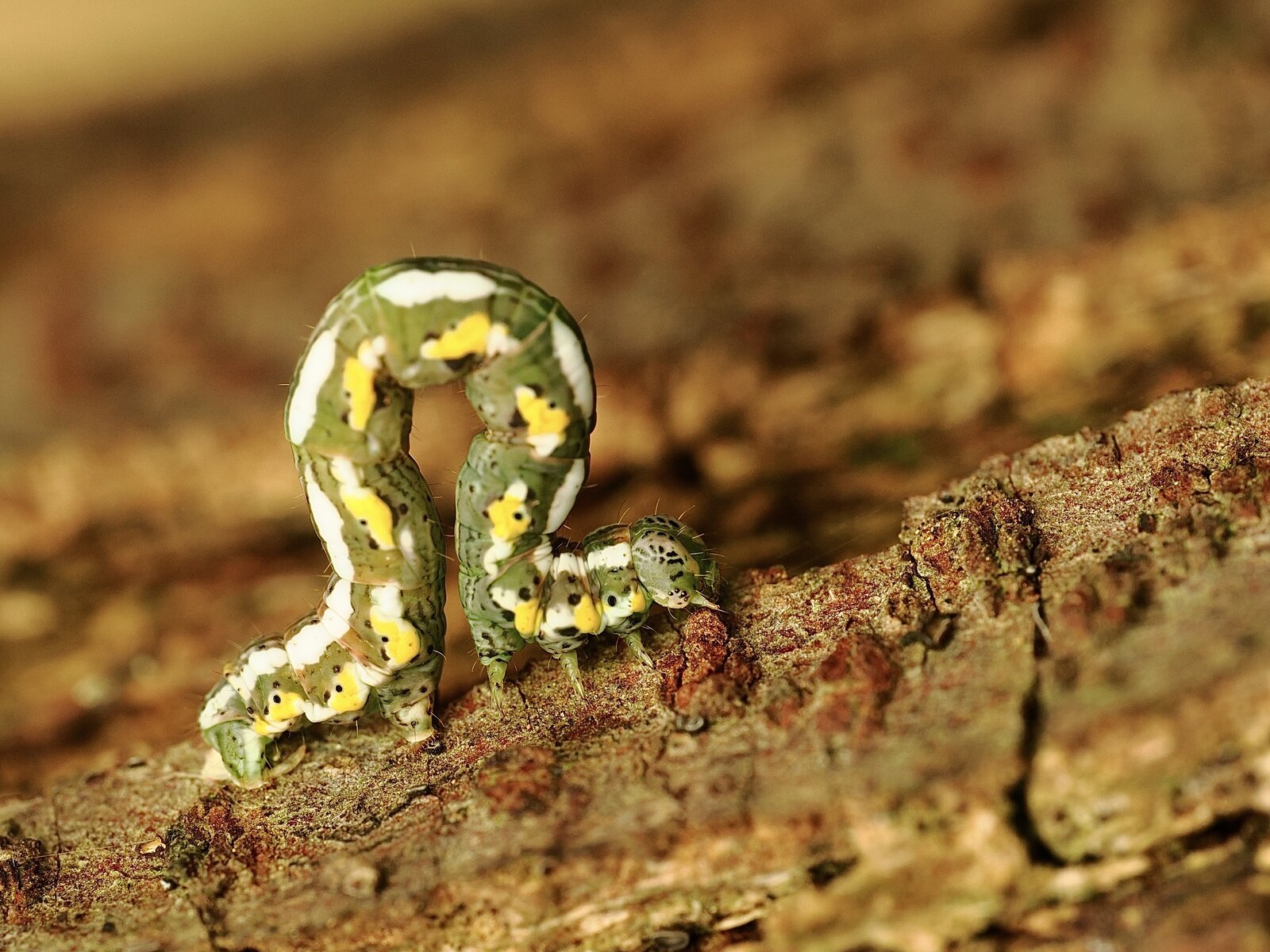 PA050739.jpg
