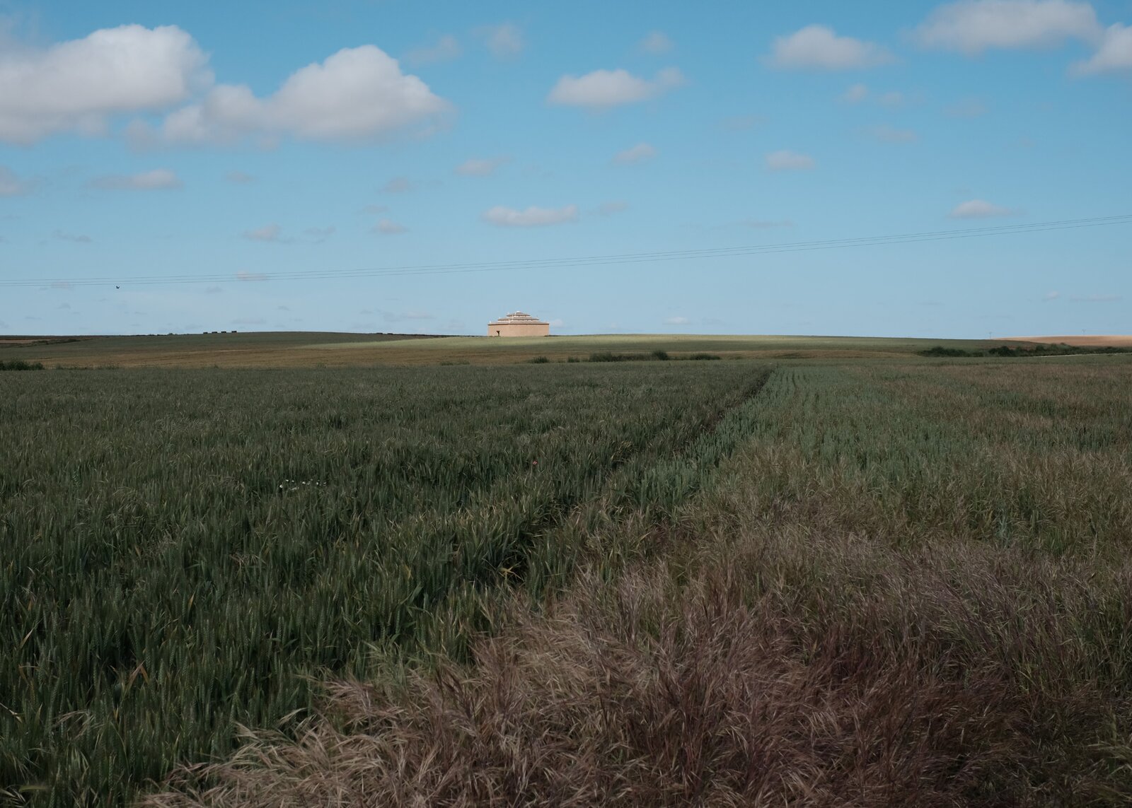palomares 3.JPG