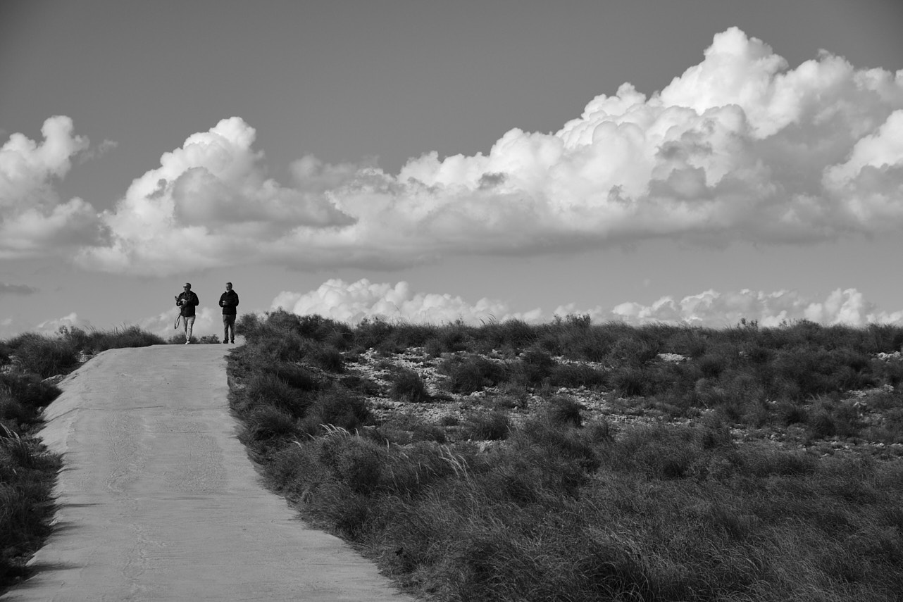 Paseo matinal (1).jpg