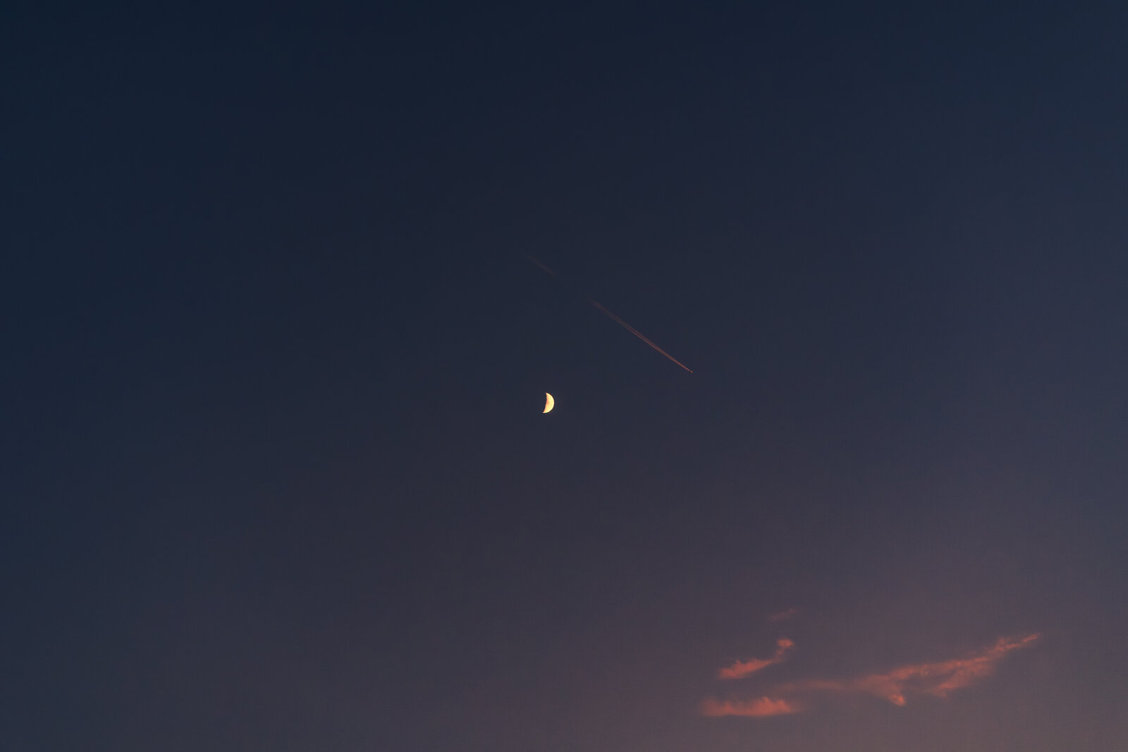 PRG03295.jpg