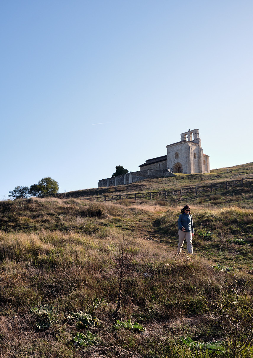 San Pantaleón de Losa (1).jpg