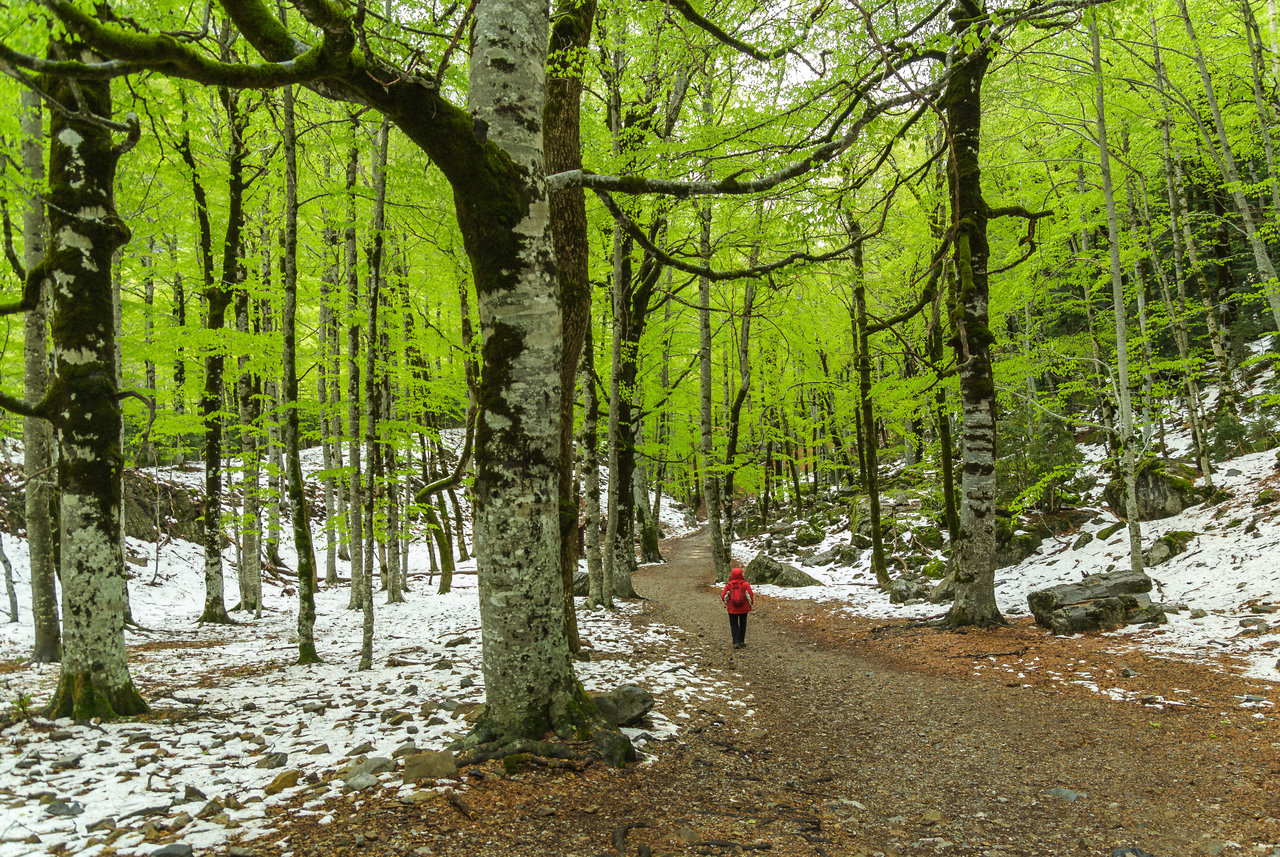 Valle de Ordesa 087.jpg