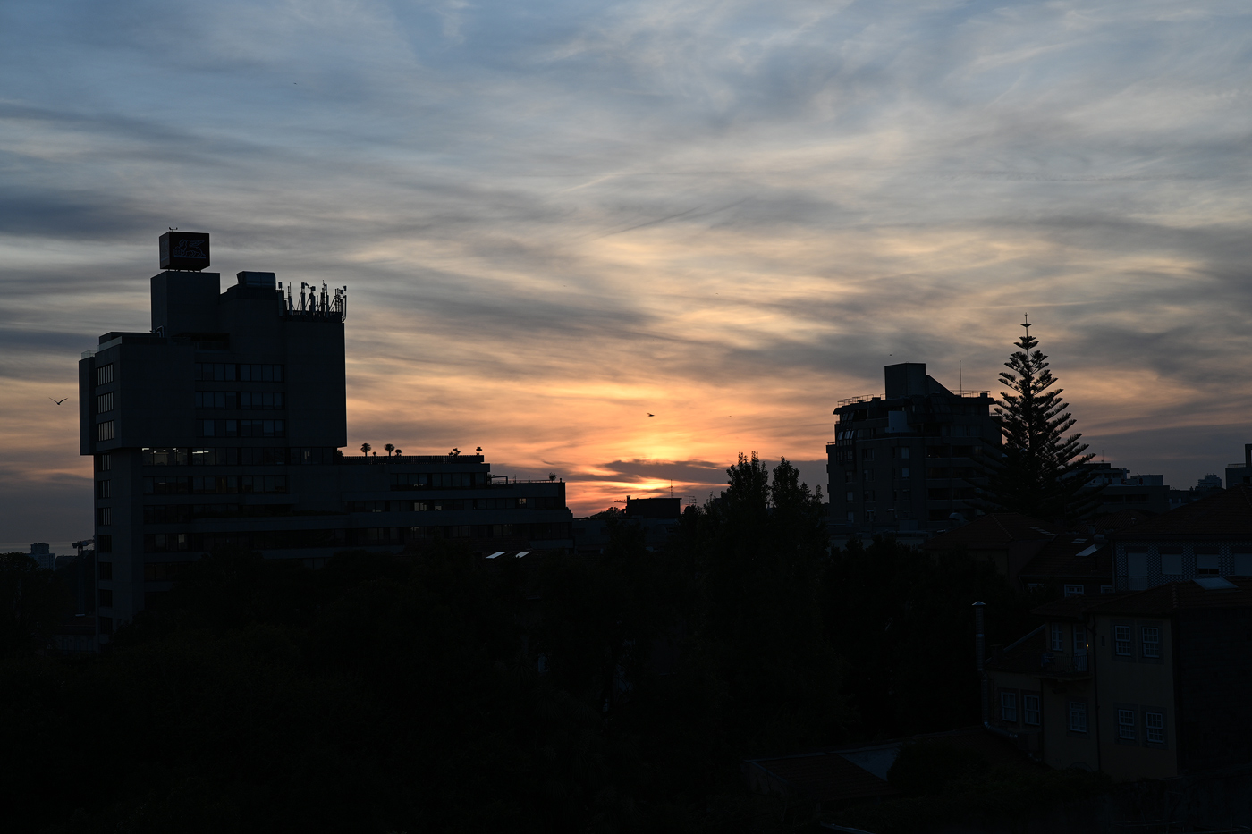 Z07_0080-sharpened.jpg