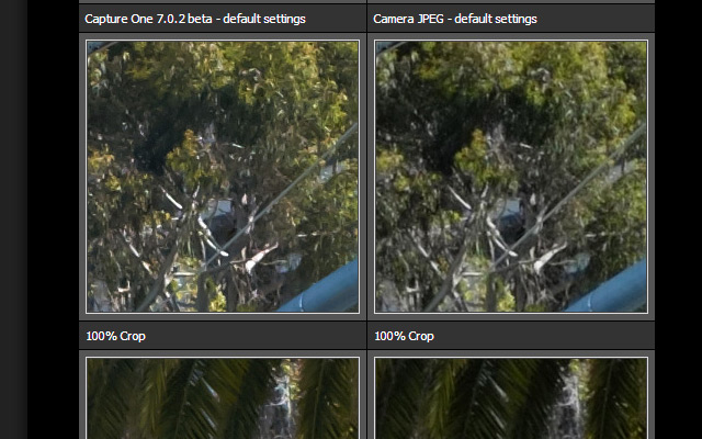 Revelado con Capture One VS JPEG de la cámara by DPreview