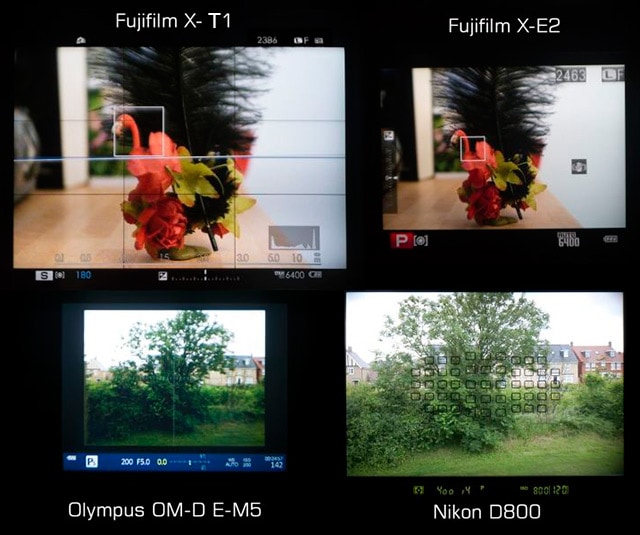 Visor de la Fuji X-T1 versus Nikon D800