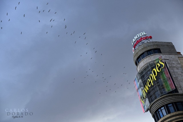 Volar por Madrid por Carlos Dorado