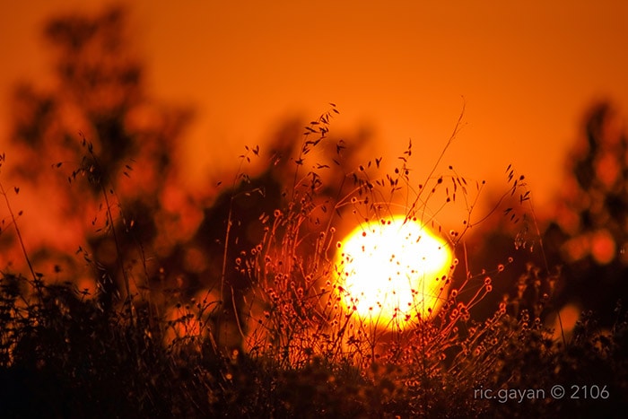 Por Ric Gayan, con Fuji X-T2.