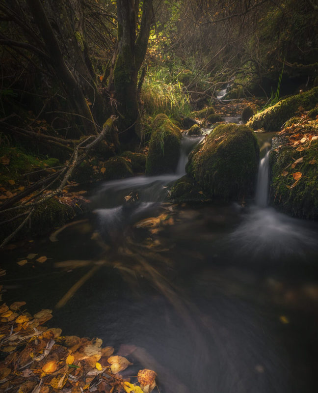 "Otoño en tiempos revueltos" por Jacobo Rodríguez. X-T1 + XF 10-24mm F4.