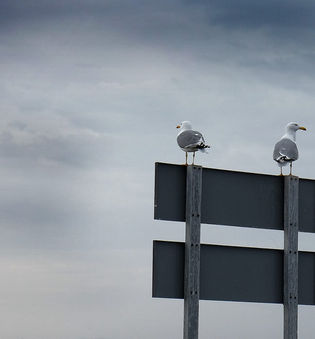 "Observaciones divergentes" por Xavier Varahus. X-E2 + XF 18-55mm.