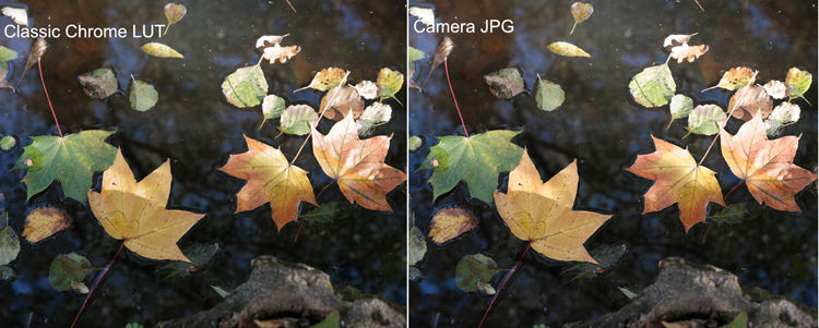 15 modos de simulación de película de Fuji, portados a Rawtherapee y Darktable