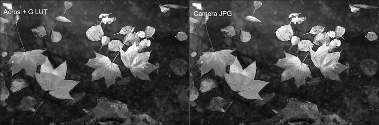 JPEG directo como simulación ACROS frente a RAW revelado con el perfil Acros en Darktable.