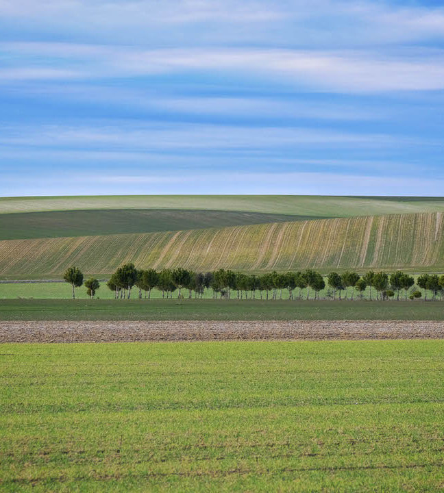 "Tímido paisaje" por Montaña Royo. X-T2 + Fujinon XF 55-200mm f/3.5-4.8 LM OIS.