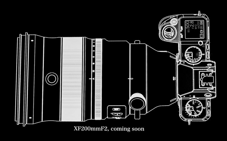 Fuji X-H1 + XF 200mm F2.