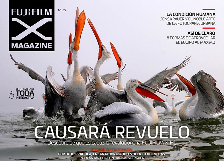 Fujifilm X Magazine 25.