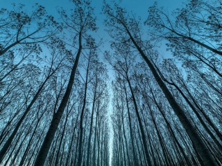 "Light is coming". X-T2 + Fujinon XF 10-24mm F4 R OIS.