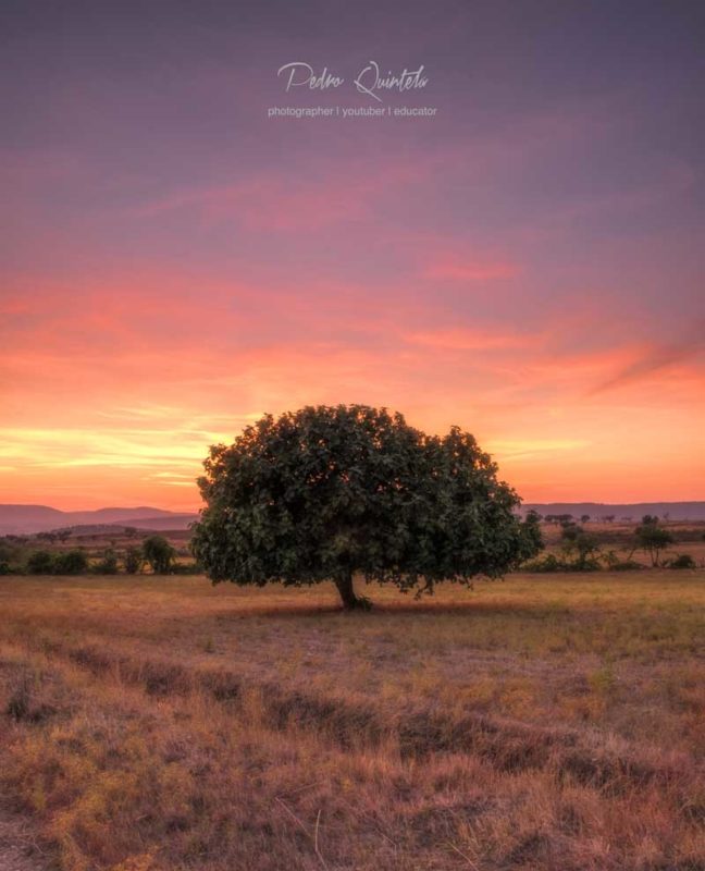 "Mi viejo amigo" por Pedro Quintela. Fujifilm X-T1 + Fujinon XF 18-55mm f/2.8-4 R LM OIS.