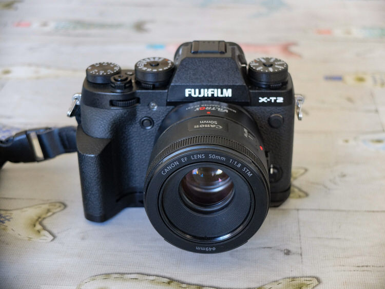 Fujifilm X-T2 + Viltrox EF-FX1 + Canon EF 50mm f/1.8 STM.