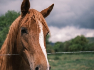 foto-con-viltrox-23-mm-f1-4-xf Fuji X-S10 + Viltrox 23mm F1.4 a f/1.4.