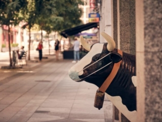 Fuji X-H1 + 16-55 2.8 @ 55mm; ISO 200; 1/250; f2.8 Desenfoque con el Fujinon XF 16-55mm F2.8 R LM WR.