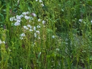 recorte-borde-viltrox-23-paisaje Recorte en la esquina. Viltrox 23mm F1.4 a f/5.6.