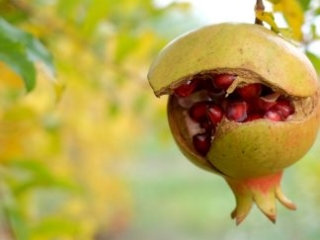 Foto por @jmc73 (JM Canfran) con Fujinon XF 27mm F2.8.