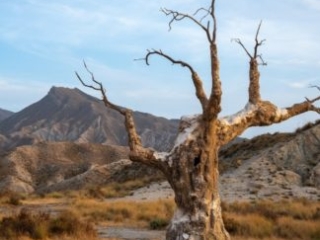 Foto por @J.tor7osa con Fujinon XF 27mm F2.8.