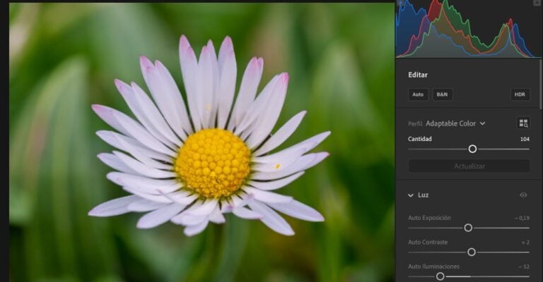 Adobe actualiza su Lightroom (v. 8.2) Classic (v. 14.2) con Perfiles Adaptables potenciados por IA