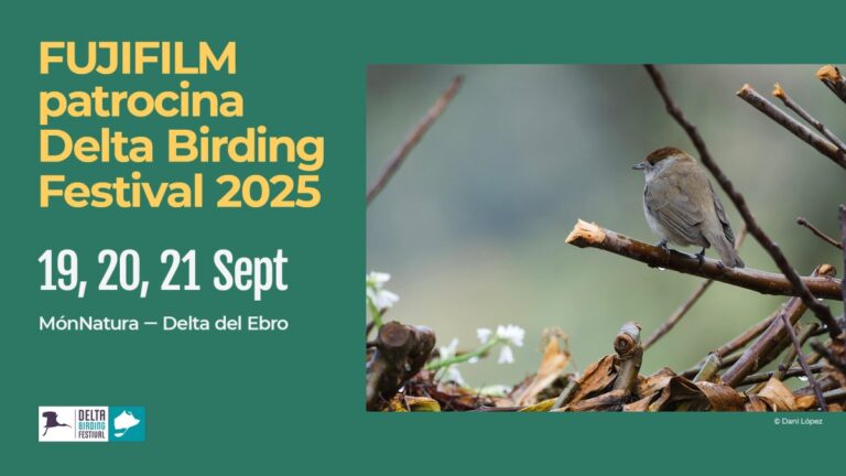 Agenda Fujistas: Delta Photo Tour con Laura Núñez en Delta Birding Festival